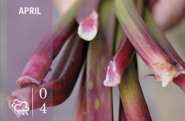 Moestuinkalender